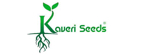 Kaveri Seeds